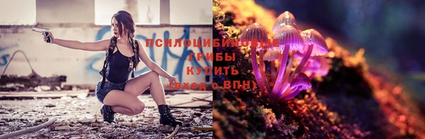 индика Балабаново