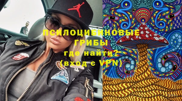 индика Балабаново