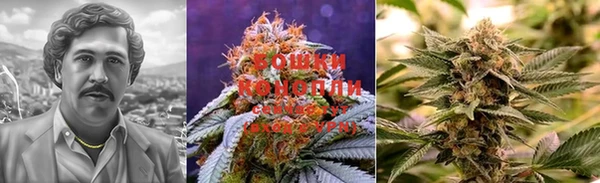 индика Балабаново