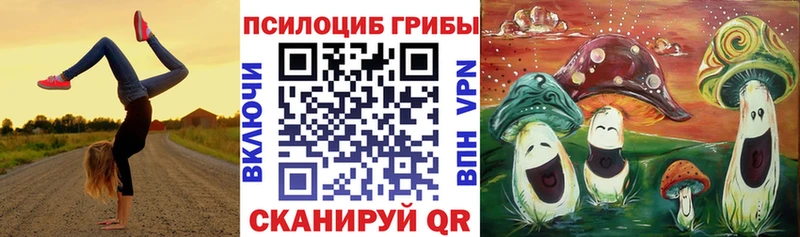 как найти   Нягань  Псилоцибиновые грибы прущие грибы 